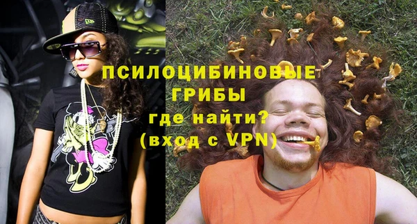 a pvp Богородицк